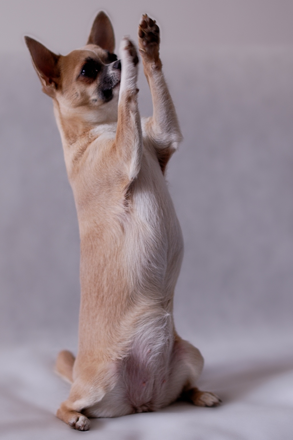 Nazwa:  DSC_2230a.jpg
Wyświetleń: 74
Rozmiar:  402,9 KB