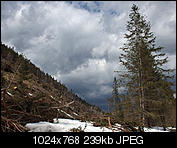 Kliknij obrazek, aby uzyskać większą wersję

Nazwa:	P4131255min.jpg
Wyświetleń:	386
Rozmiar:	239,3 KB
ID:	147301
