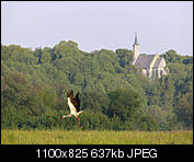 Kliknij obrazek, aby uzyskać większą wersję

Nazwa:	_5192292.jpg
Wyświetleń:	54
Rozmiar:	636,9 KB
ID:	147925