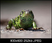 Kliknij obrazek, aby uzyskać większą wersję

Nazwa:	p1350488.jpg
Wyświetleń:	53
Rozmiar:	251,7 KB
ID:	148839