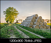 Kliknij obrazek, aby uzyskać większą wersję

Nazwa:	P1030497.jpg
Wyświetleń:	375
Rozmiar:	763,7 KB
ID:	149131