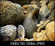 Kliknij obrazek, aby uzyskać większą wersję

Nazwa:	P1016671.jpg
Wyświetleń:	63
Rozmiar:	193,2 KB
ID:	149458