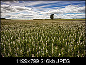 Kliknij obrazek, aby uzyskać większą wersję

Nazwa:	10.jpg
Wyświetleń:	142
Rozmiar:	316,1 KB
ID:	150176