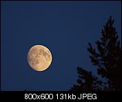 Kliknij obrazek, aby uzyskać większą wersję

Nazwa:	P8085555_800.jpg
Wyświetleń:	49
Rozmiar:	131,1 KB
ID:	150187