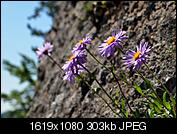 Kliknij obrazek, aby uzyskać większą wersję

Nazwa:	P6064192.JPG
Wyświetleń:	201
Rozmiar:	302,9 KB
ID:	150285