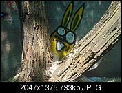 Kliknij obrazek, aby uzyskać większą wersję

Nazwa:	20150611_114504.jpg
Wyświetleń:	60
Rozmiar:	733,3 KB
ID:	150527