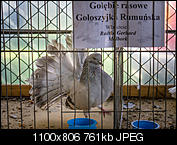 Kliknij obrazek, aby uzyskać większą wersję

Nazwa:	_1030736.jpg
Wyświetleń:	68
Rozmiar:	761,3 KB
ID:	150550