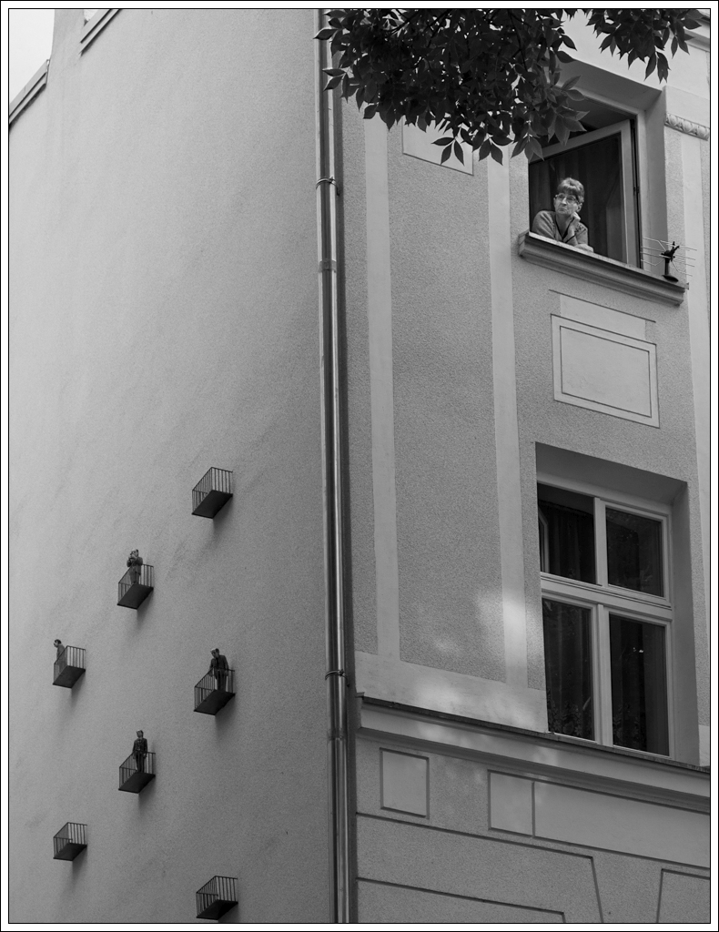 Nazwa:  P6207518.jpg
Wyświetleń: 133
Rozmiar:  482,5 KB