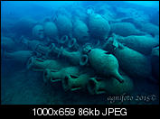 Kliknij obrazek, aby uzyskać większą wersję

Nazwa:	P1010070.jpg
Wyświetleń:	54
Rozmiar:	85,8 KB
ID:	151307