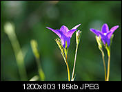 Kliknij obrazek, aby uzyskać większą wersję

Nazwa:	P7051485_DxO.jpg
Wyświetleń:	29
Rozmiar:	185,3 KB
ID:	151752