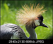 Kliknij obrazek, aby uzyskać większą wersję

Nazwa:	P5300235.jpg
Wyświetleń:	77
Rozmiar:	698,3 KB
ID:	152227