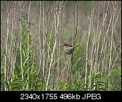 Kliknij obrazek, aby uzyskać większą wersję

Nazwa:	P7100341.jpg
Wyświetleń:	359
Rozmiar:	496,0 KB
ID:	152512