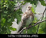 Kliknij obrazek, aby uzyskać większą wersję

Nazwa:	P7150028.jpg
Wyświetleń:	77
Rozmiar:	690,4 KB
ID:	152538