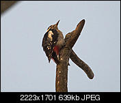 Kliknij obrazek, aby uzyskać większą wersję

Nazwa:	P7180030.jpg
Wyświetleń:	70
Rozmiar:	638,6 KB
ID:	152748