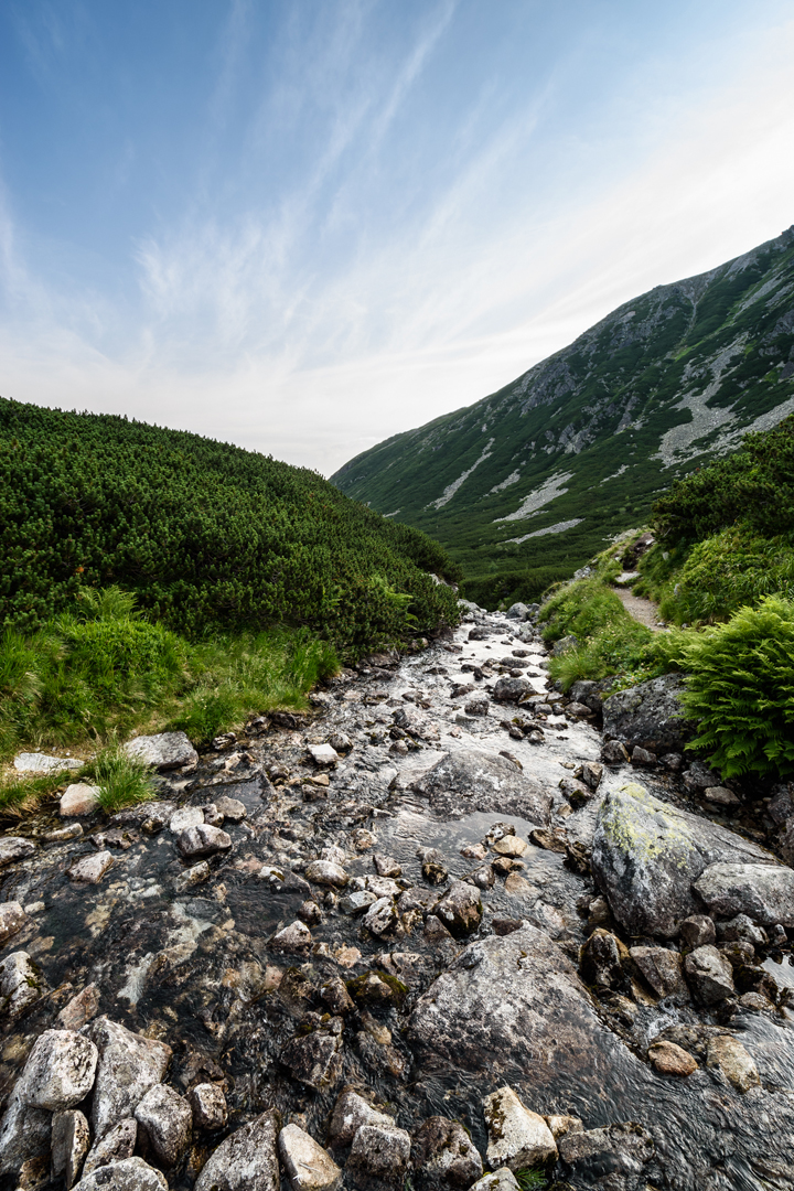 Kliknij obrazek, aby uzyskać większą wersję

Nazwa:	_DSC0858.JPG
Wyświetleń:	184
Rozmiar:	793,1 KB
ID:	152964