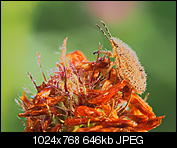 Kliknij obrazek, aby uzyskać większą wersję

Nazwa:	P8030023-1.jpg
Wyświetleń:	51
Rozmiar:	646,1 KB
ID:	153897