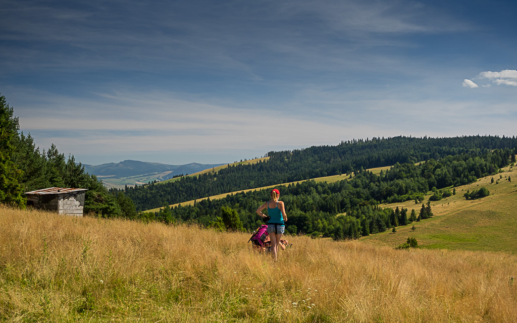 Nazwa:  2015-08-01_1501_P8010022.jpg
Wyświetleń: 103
Rozmiar:  321,2 KB