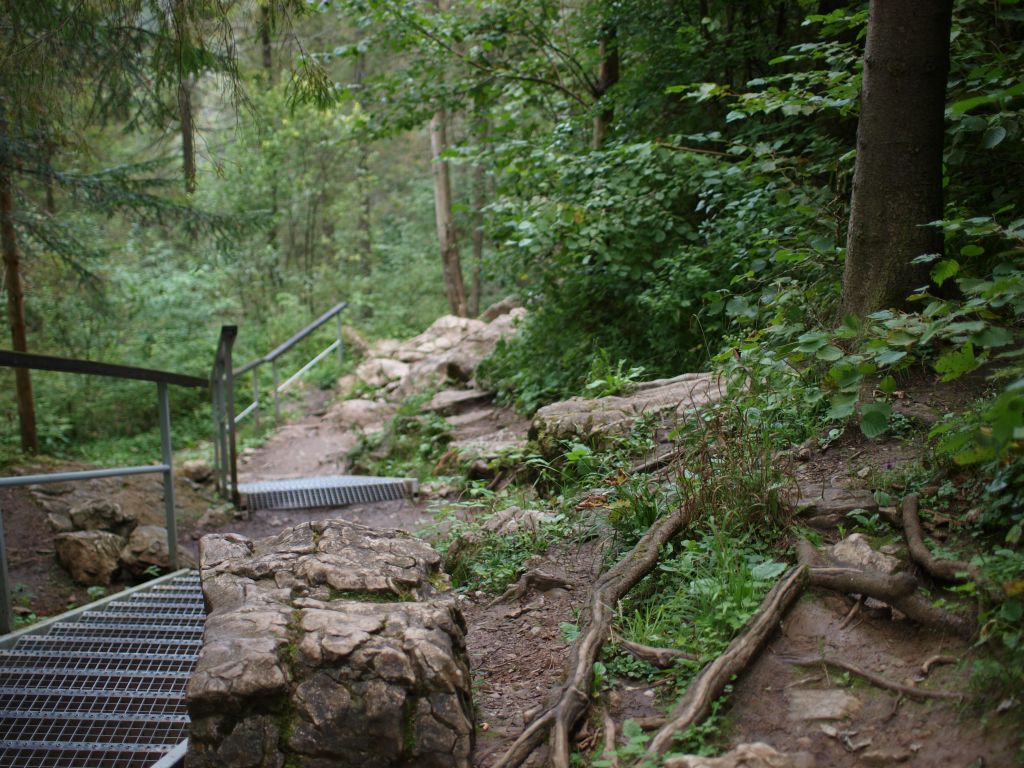 Nazwa:  P9129251.jpg
Wyświetleń: 132
Rozmiar:  196,9 KB