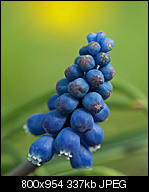 Kliknij obrazek, aby uzyskać większą wersję

Nazwa:	_4068814.jpg
Wyświetleń:	43
Rozmiar:	336,7 KB
ID:	154545