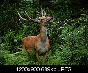 Kliknij obrazek, aby uzyskać większą wersję

Nazwa:	P7270132_1200.jpg
Wyświetleń:	53
Rozmiar:	689,2 KB
ID:	154599