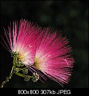 Kliknij obrazek, aby uzyskać większą wersję

Nazwa:	1802.jpg
Wyświetleń:	203
Rozmiar:	306,8 KB
ID:	154684