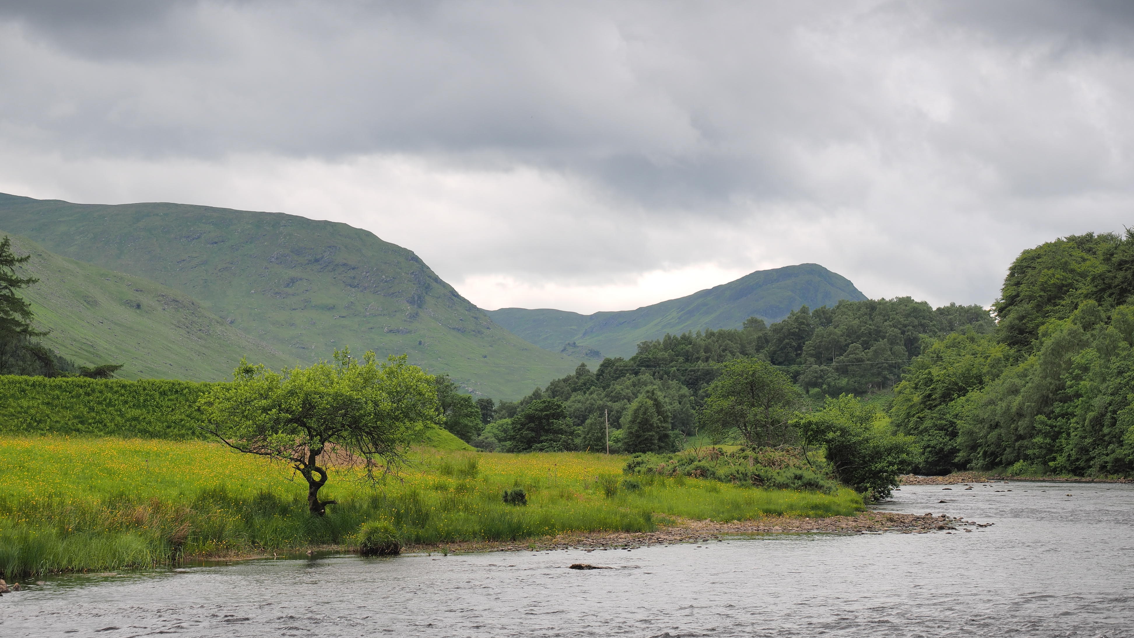 Kliknij obrazek, aby uzyskać większą wersję

Nazwa:	P6230625.jpg
Wyświetleń:	106
Rozmiar:	1,07 MB
ID:	155293