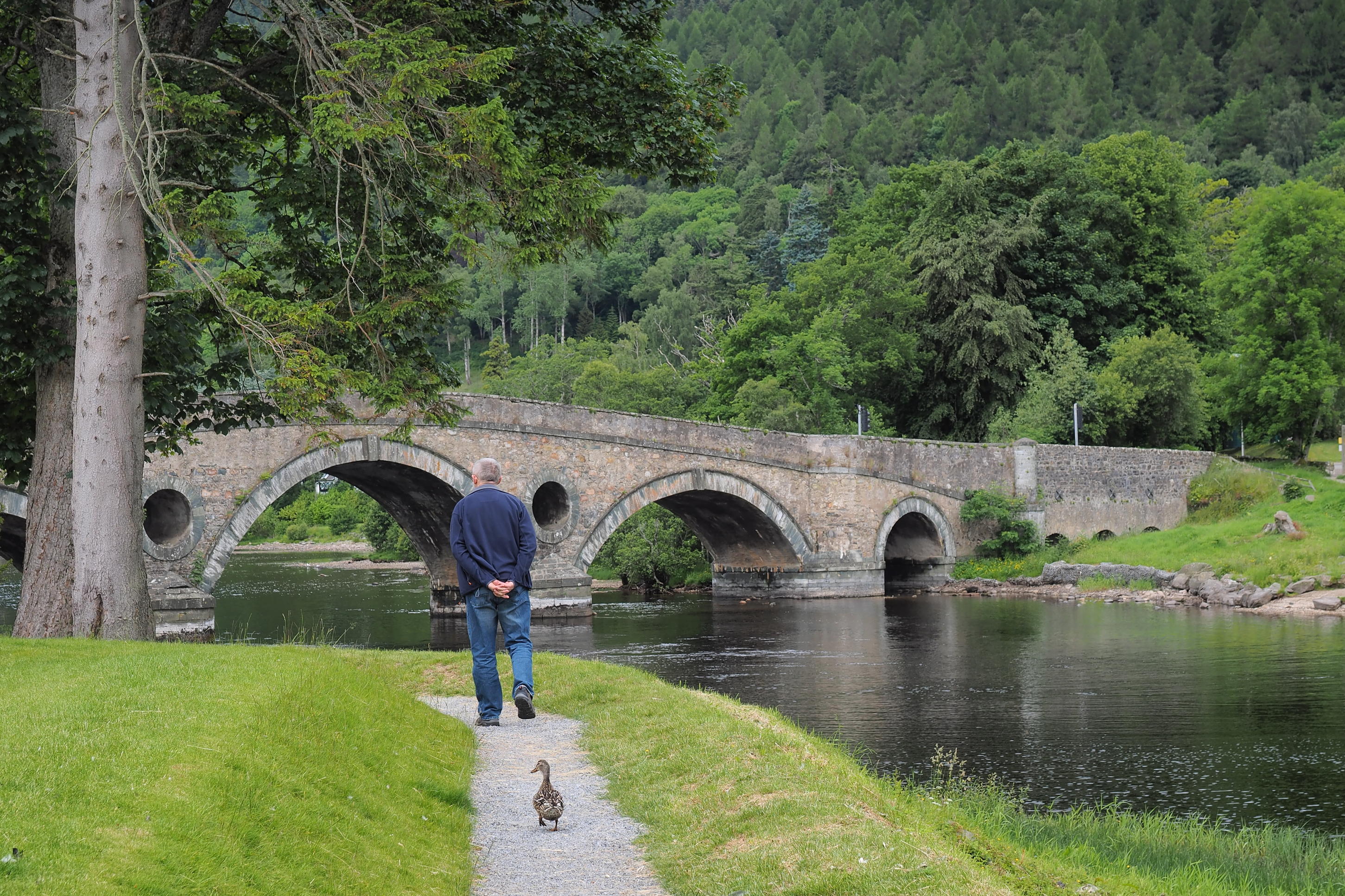 Kliknij obrazek, aby uzyskać większą wersję

Nazwa:	P6230615.jpg
Wyświetleń:	95
Rozmiar:	1,21 MB
ID:	155294