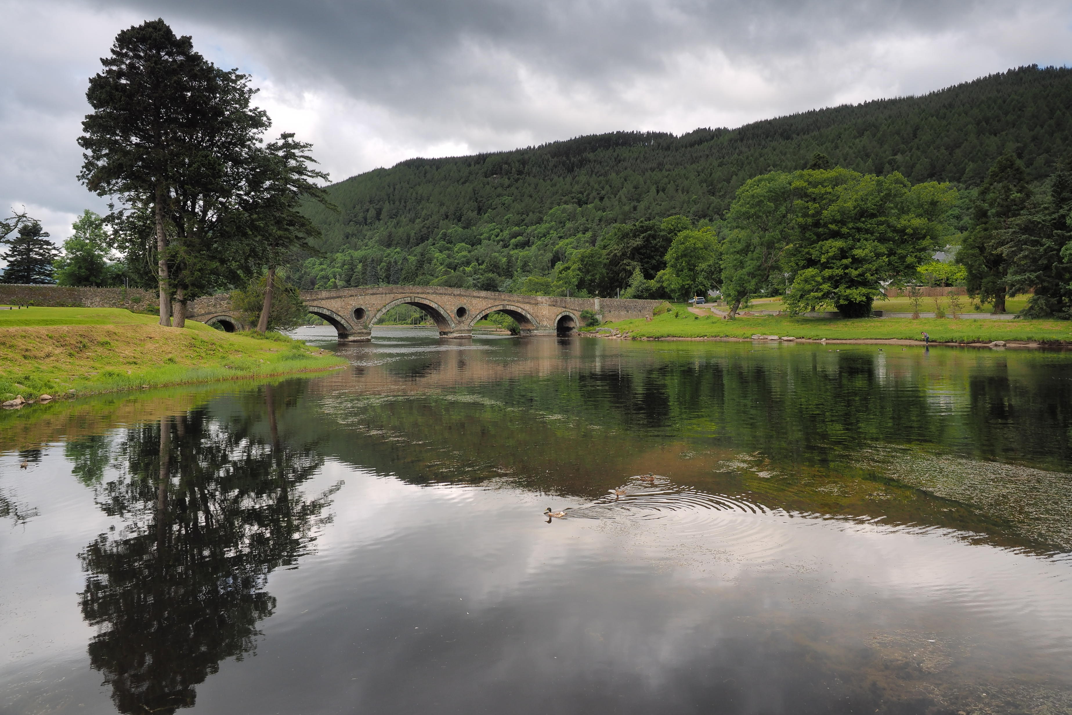 Kliknij obrazek, aby uzyskać większą wersję

Nazwa:	P6230608.jpg
Wyświetleń:	106
Rozmiar:	1,10 MB
ID:	155295