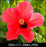 Kliknij obrazek, aby uzyskać większą wersję

Nazwa:	P7221681_DxO.jpg
Wyświetleń:	46
Rozmiar:	336,3 KB
ID:	155316