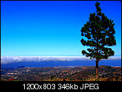 Kliknij obrazek, aby uzyskać większą wersję

Nazwa:	P7262682_DxO.jpg
Wyświetleń:	59
Rozmiar:	346,1 KB
ID:	155327