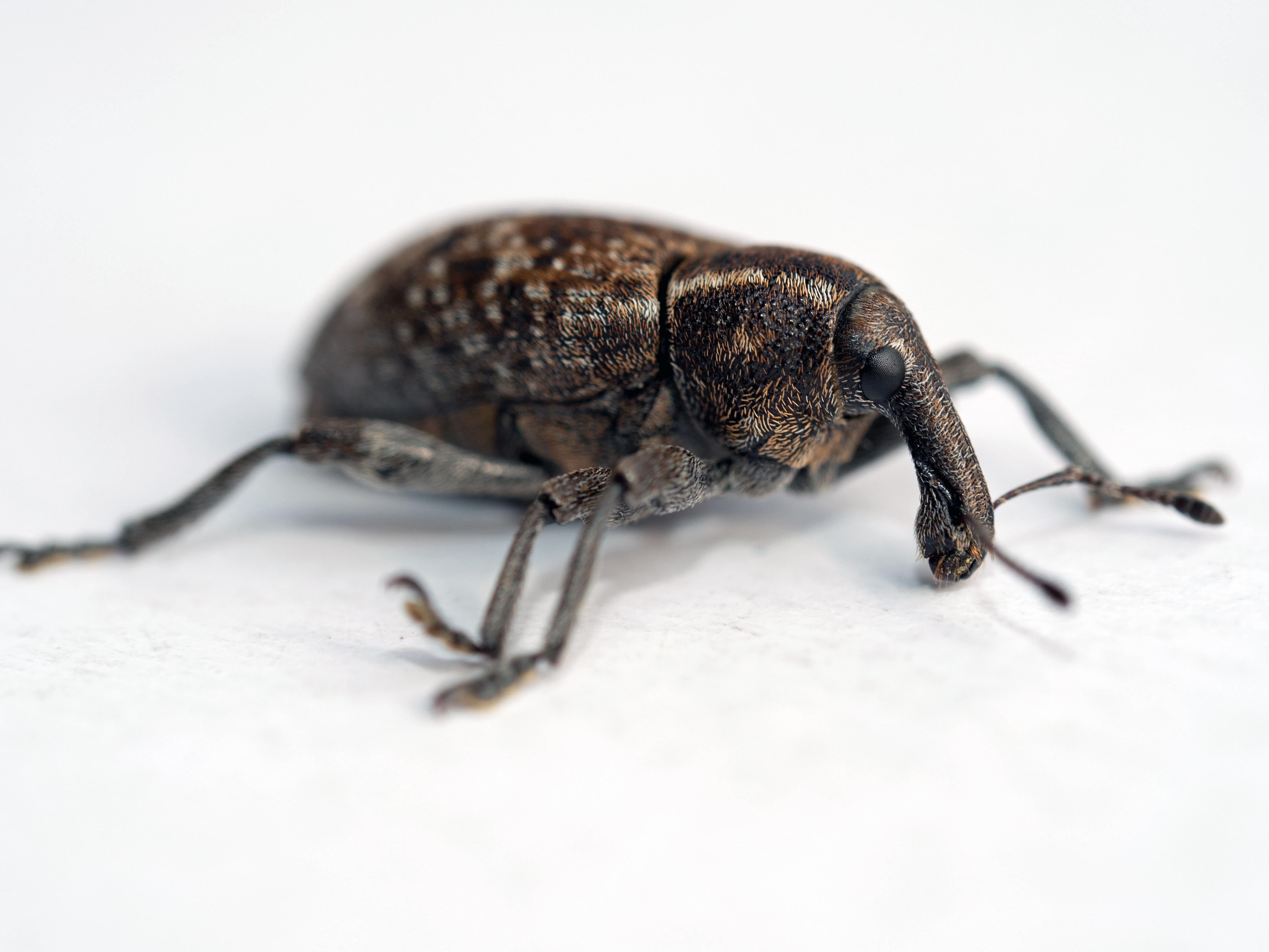 Kliknij obrazek, aby uzyskać większą wersję

Nazwa:	P7180119.jpg
Wyświetleń:	295
Rozmiar:	987,8 KB
ID:	156029