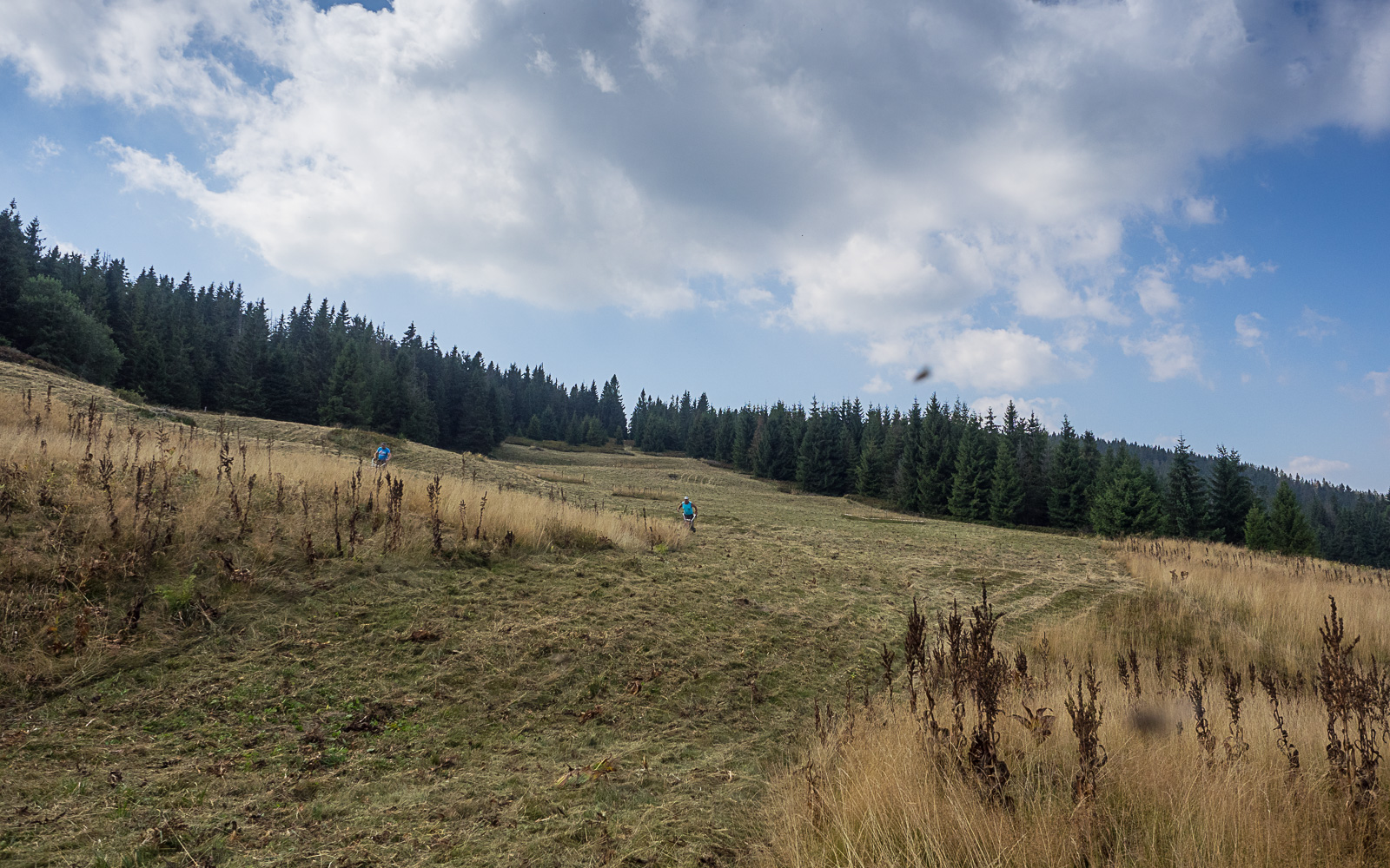 Nazwa:  2015-08-29_1128_P8290067.jpg
Wyświetleń: 175
Rozmiar:  712,2 KB
