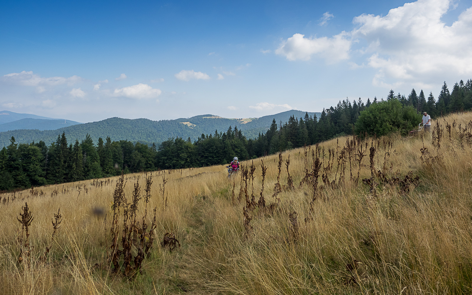 Nazwa:  2015-08-29_1128_P8290068.jpg
Wyświetleń: 173
Rozmiar:  787,4 KB