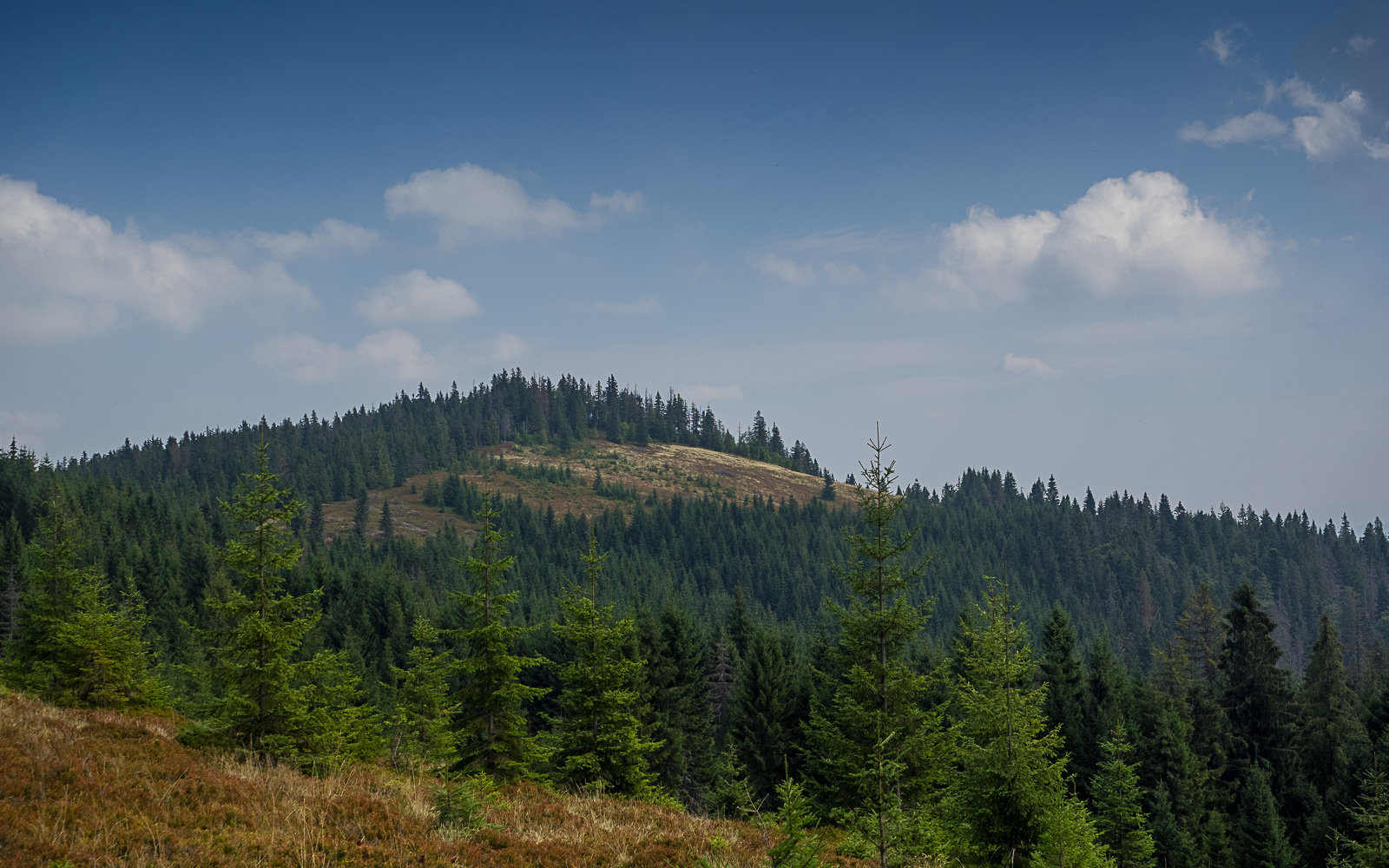 Nazwa:  2015-08-29_1226_P8290161.jpg
Wyświetleń: 169
Rozmiar:  582,5 KB