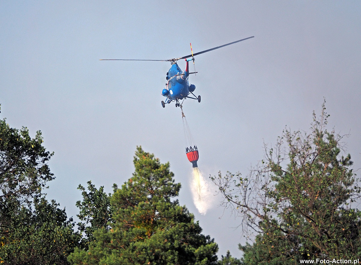 Kliknij obrazek, aby uzyskać większą wersję

Nazwa:	K8268697.jpg
Wyświetleń:	155
Rozmiar:	454,1 KB
ID:	156406