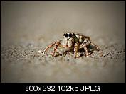 Kliknij obrazek, aby uzyskać większą wersję

Nazwa:	DSC_0170.jpg
Wyświetleń:	86
Rozmiar:	101,5 KB
ID:	156490