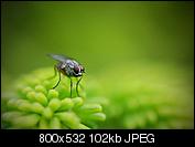 Kliknij obrazek, aby uzyskać większą wersję

Nazwa:	DSC_05212.jpg
Wyświetleń:	82
Rozmiar:	102,3 KB
ID:	156491