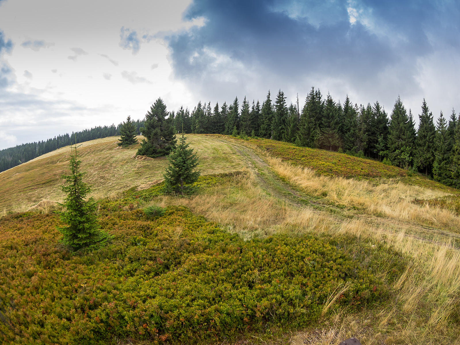 Nazwa:  2015-09-05_1203_P9050116.jpg
Wyświetleń: 170
Rozmiar:  501,4 KB