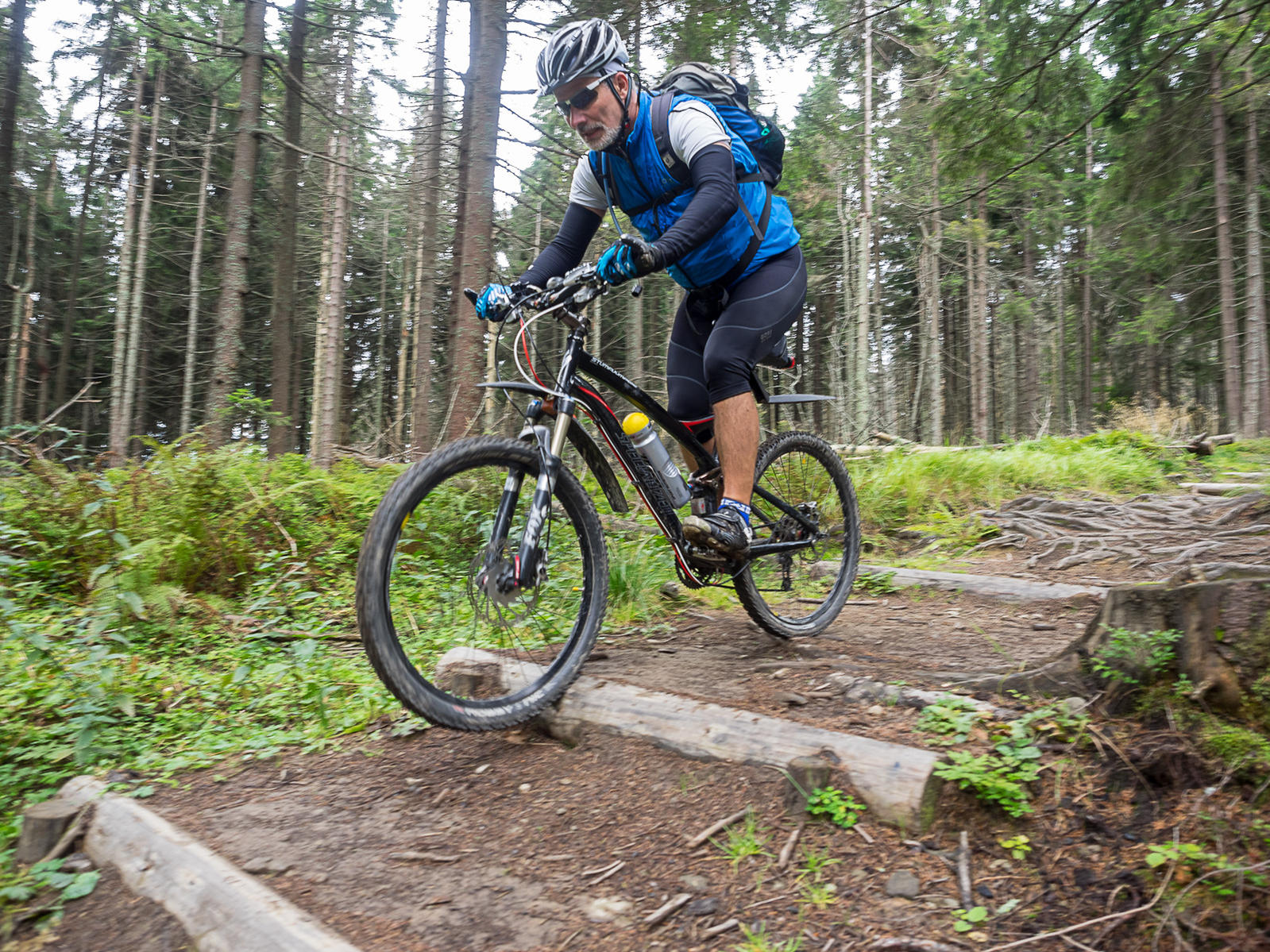 Nazwa:  2015-09-05_1236_P9050273.jpg
Wyświetleń: 175
Rozmiar:  535,9 KB