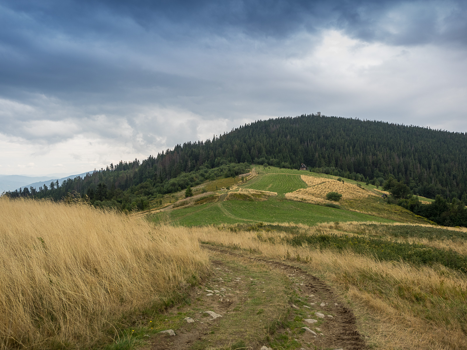 Nazwa:  2015-09-05_1432_P9050350.jpg
Wyświetleń: 167
Rozmiar:  754,2 KB