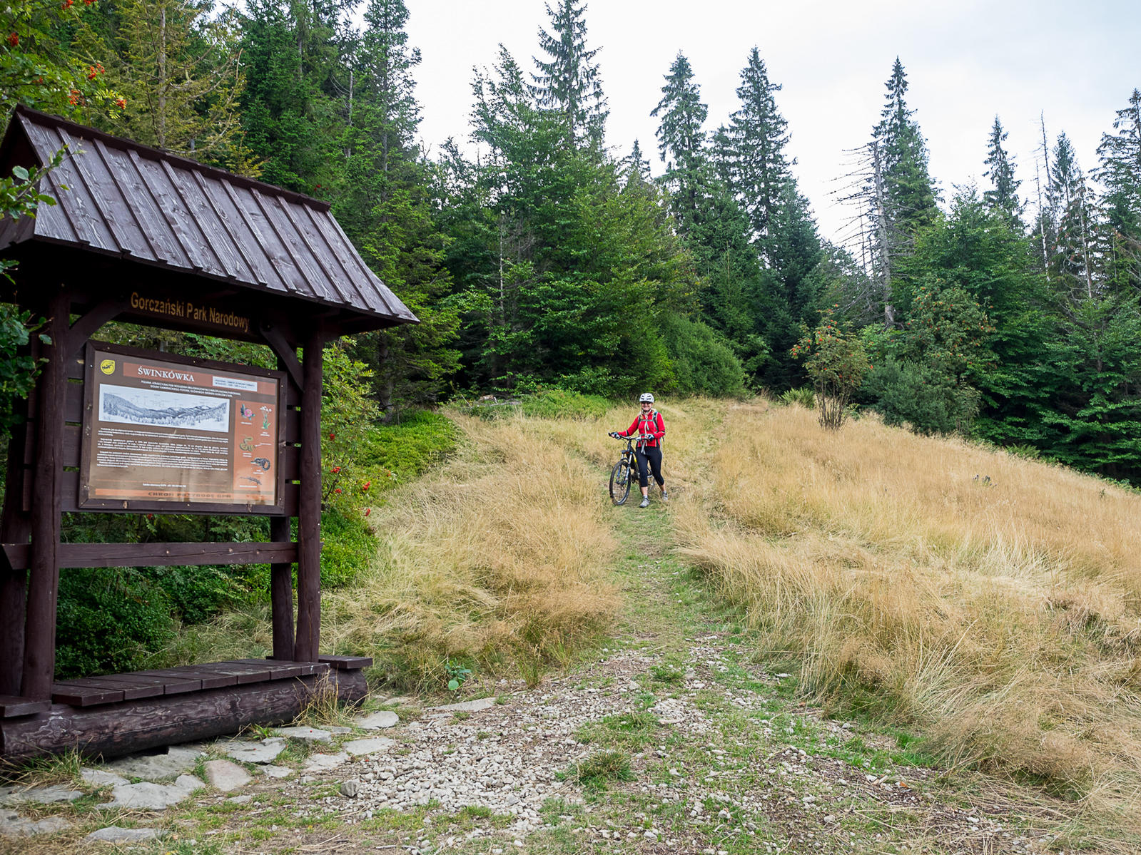 Nazwa:  2015-09-05_1438_P9050351.jpg
Wyświetleń: 165
Rozmiar:  607,5 KB