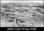 Kliknij obrazek, aby uzyskać większą wersję

Nazwa:	P9136264-2.jpg
Wyświetleń:	93
Rozmiar:	750,7 KB
ID:	157117