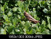 Kliknij obrazek, aby uzyskać większą wersję

Nazwa:	P9220009.jpg
Wyświetleń:	89
Rozmiar:	305,4 KB
ID:	157489