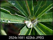 Kliknij obrazek, aby uzyskać większą wersję

Nazwa:	P9220010.jpg
Wyświetleń:	91
Rozmiar:	422,4 KB
ID:	157490