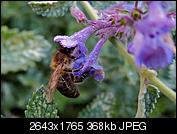 Kliknij obrazek, aby uzyskać większą wersję

Nazwa:	P9220021.jpg
Wyświetleń:	90
Rozmiar:	368,1 KB
ID:	157491