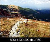 Kliknij obrazek, aby uzyskać większą wersję

Nazwa:	P9180220_2_zmniejszone.jpg
Wyświetleń:	94
Rozmiar:	391,7 KB
ID:	158122