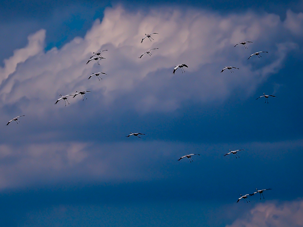 Kliknij obrazek, aby uzyskać większą wersję

Nazwa:	228.jpg
Wyświetleń:	420
Rozmiar:	491,7 KB
ID:	158201