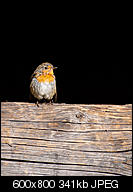 Kliknij obrazek, aby uzyskać większą wersję

Nazwa:	p1390557.jpg
Wyświetleń:	83
Rozmiar:	340,6 KB
ID:	158205