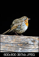 Kliknij obrazek, aby uzyskać większą wersję

Nazwa:	p1390563.jpg
Wyświetleń:	76
Rozmiar:	396,7 KB
ID:	158206