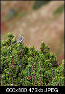 Kliknij obrazek, aby uzyskać większą wersję

Nazwa:	p1390720.jpg
Wyświetleń:	78
Rozmiar:	473,3 KB
ID:	158207